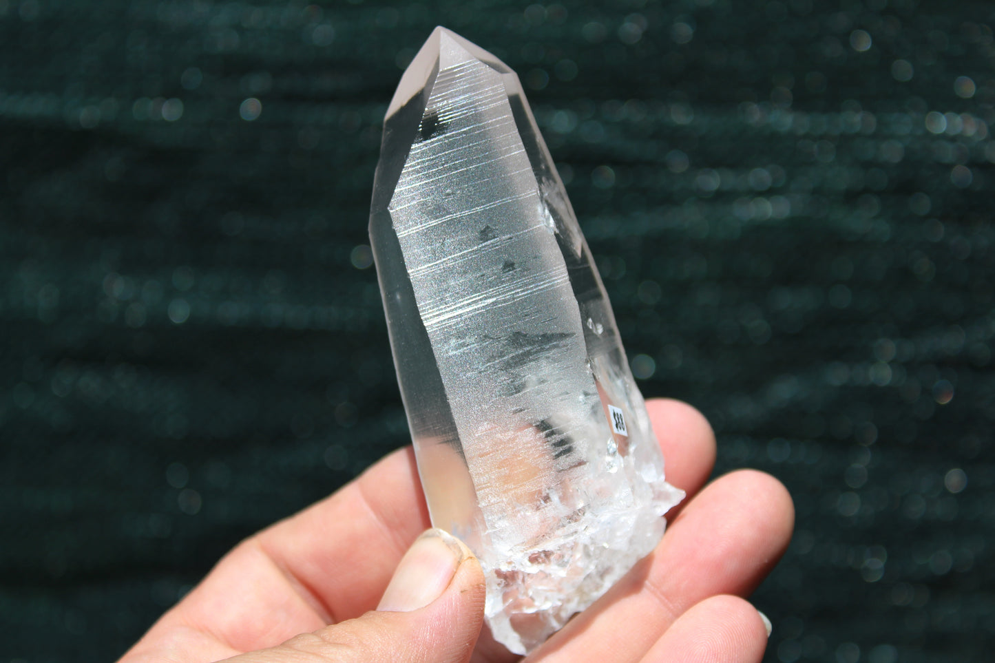 Lemurian Star Seed Crystal