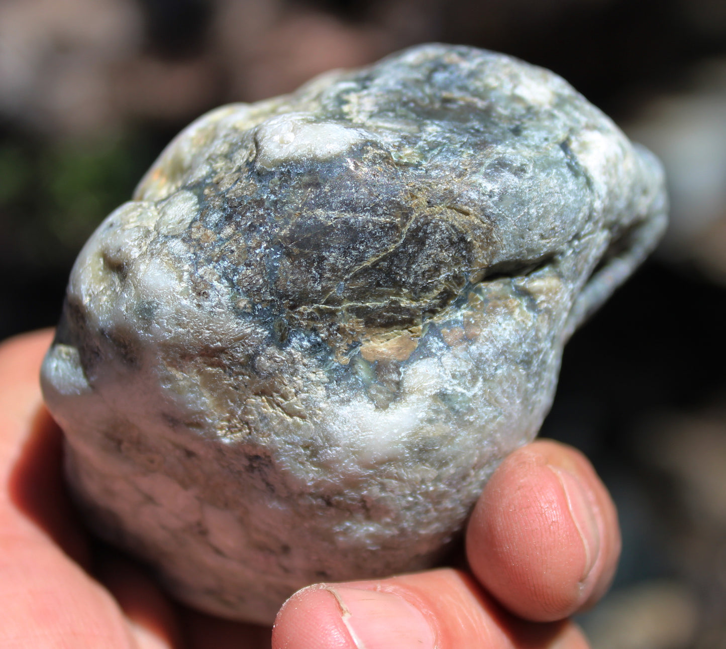 Mount Shasta Vortex Stone