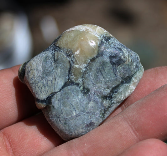 Mount Shasta Vortex Stone