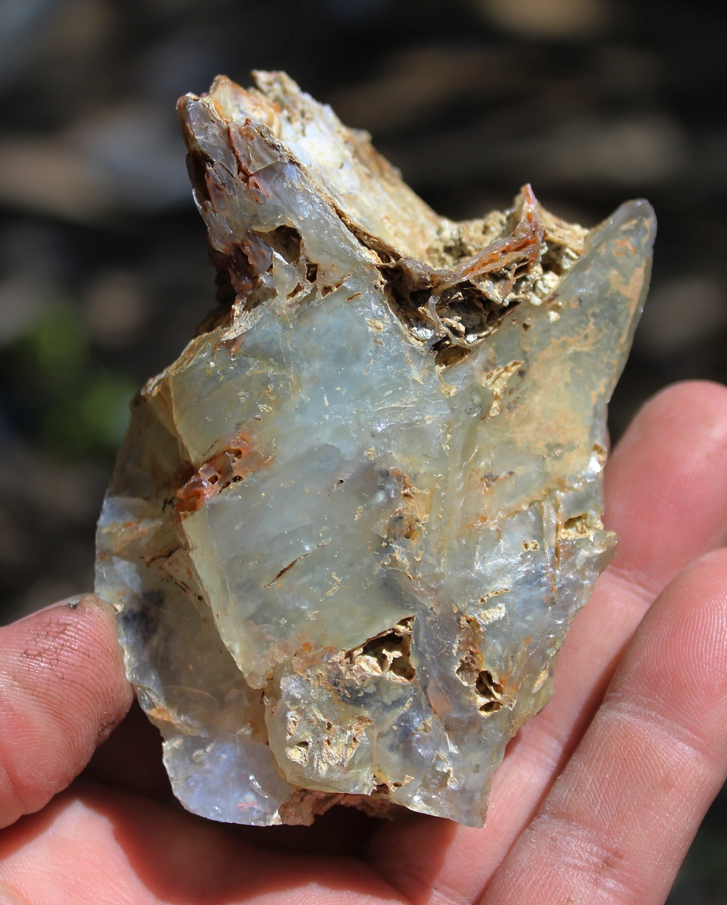 Mount Shasta Opal High Grade