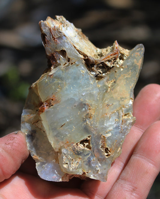 Mount Shasta Opal High Grade