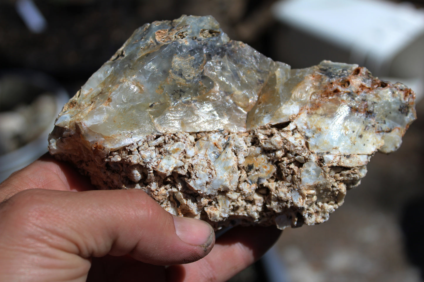 Mount Shasta Opal High Grade
