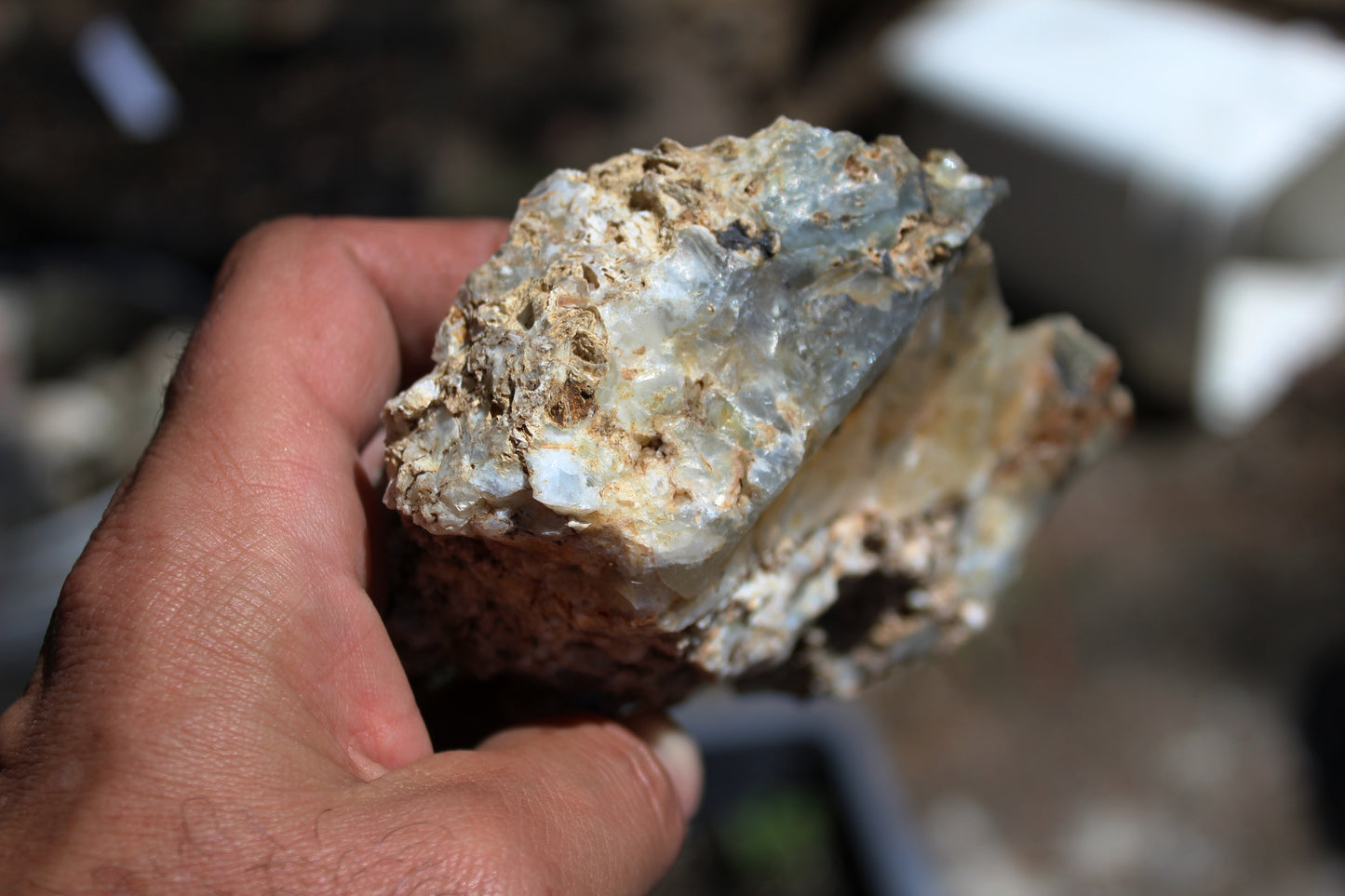 Mount Shasta Opal High Grade