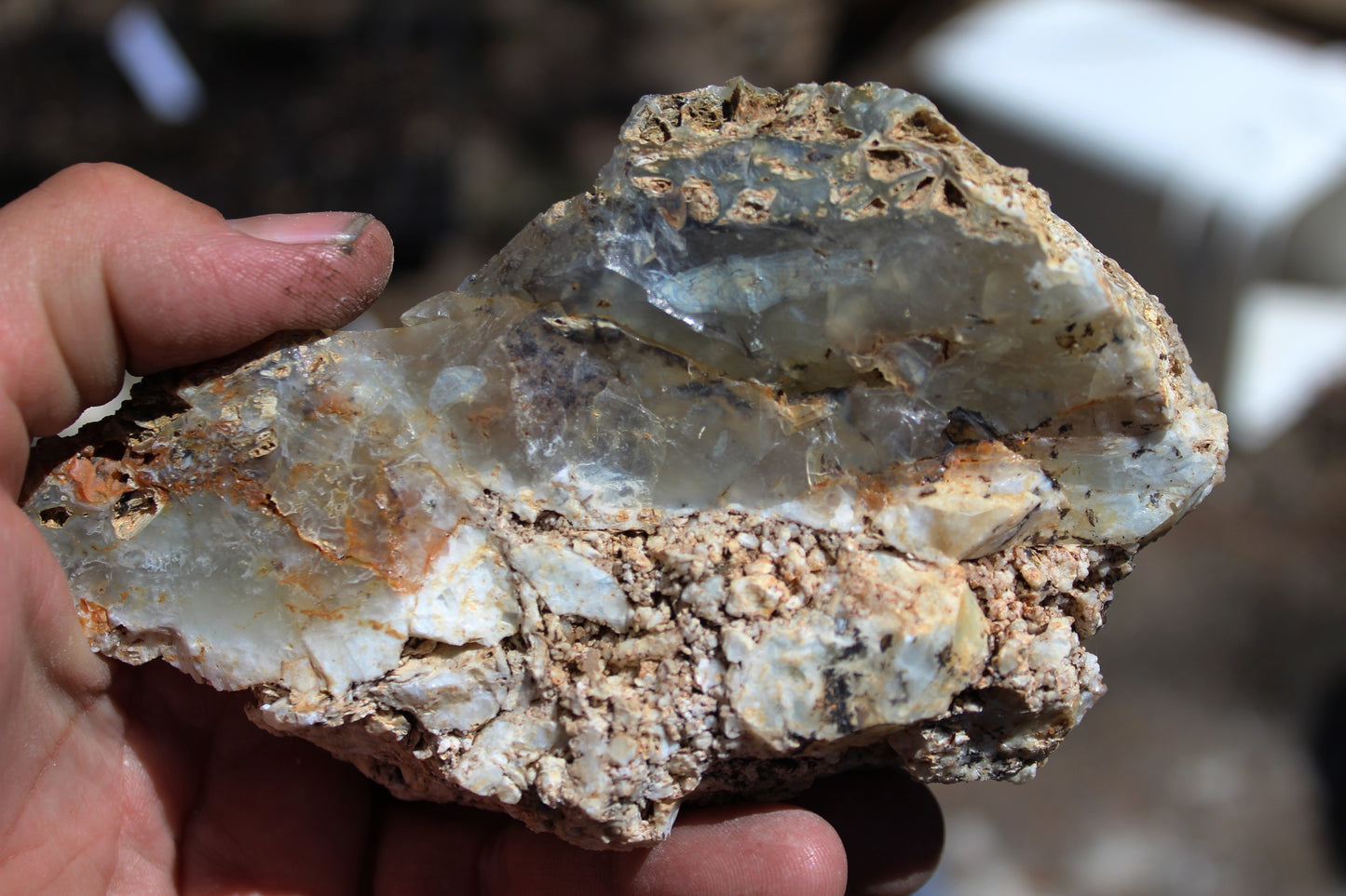 Mount Shasta Opal High Grade