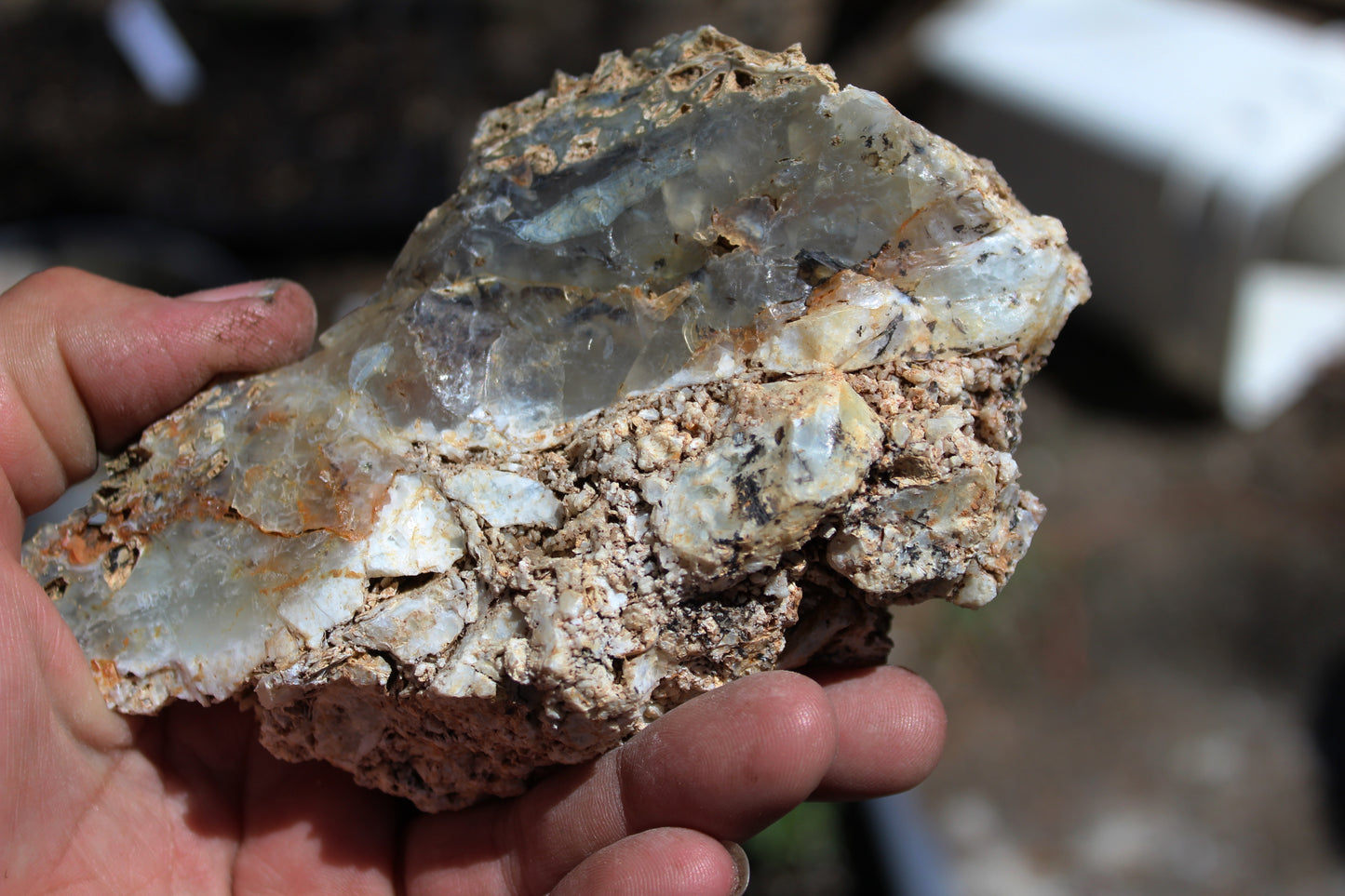 Mount Shasta Opal High Grade