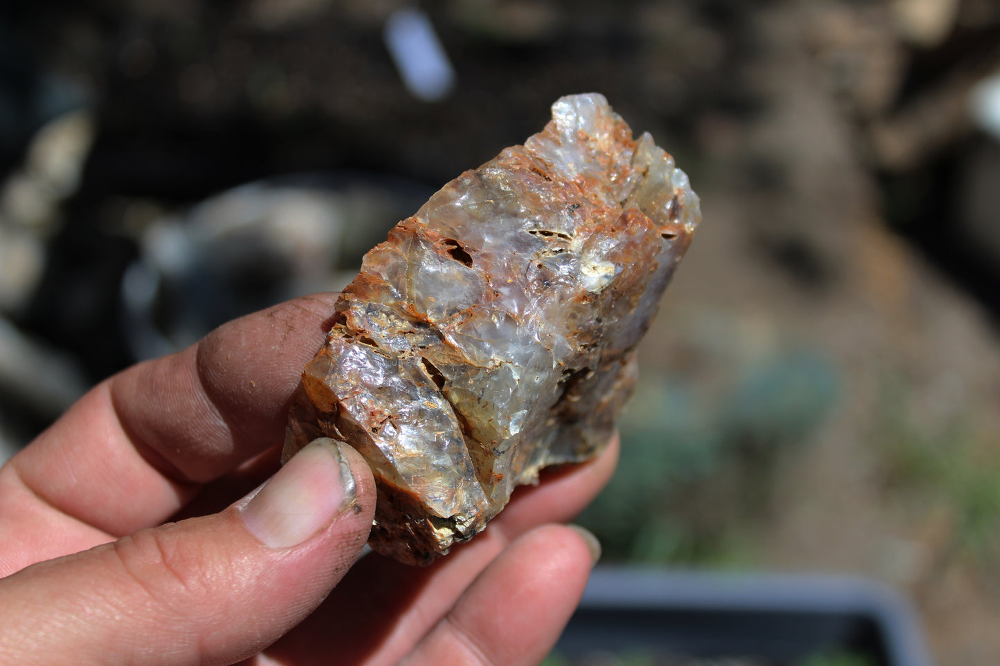 Mount Shasta Nebula Opal