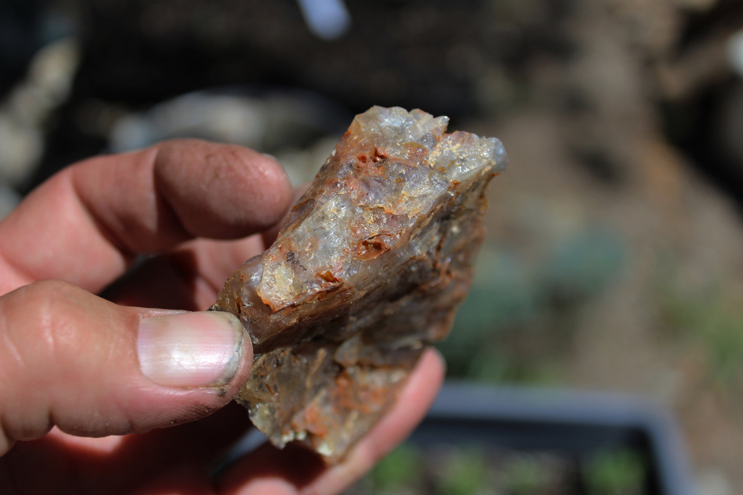 Mount Shasta Nebula Opal