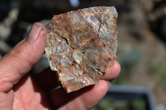 Mount Shasta Nebula Opal