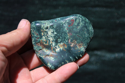 Petrified Wood Green Tumbled from Hampton Butte Oregon