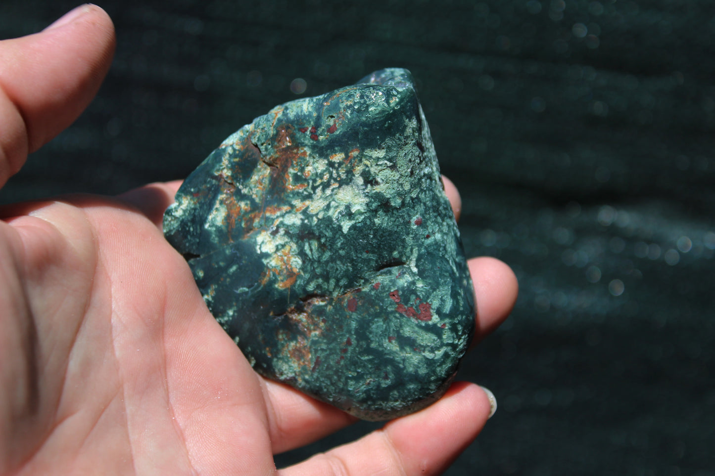 Petrified Wood Green Tumbled from Hampton Butte Oregon