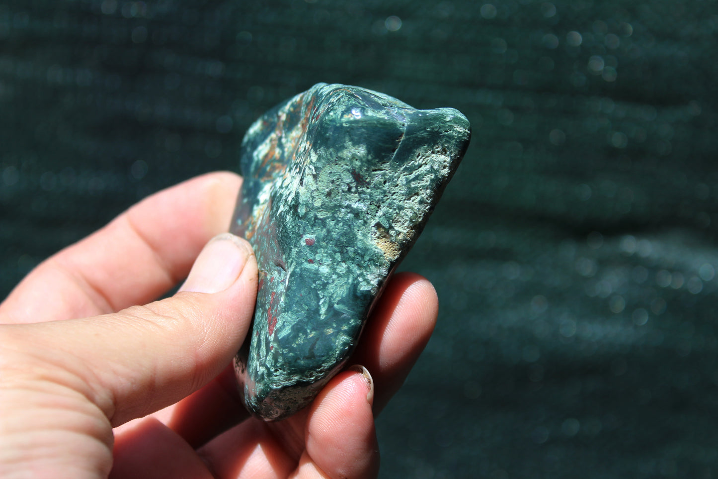 Petrified Wood Green Tumbled from Hampton Butte Oregon