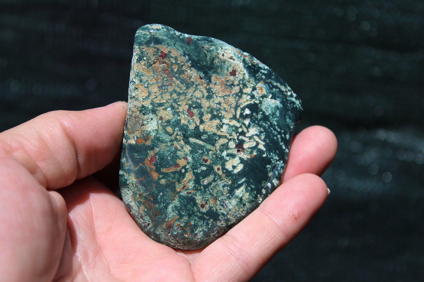 Petrified Wood Green Tumbled from Hampton Butte Oregon