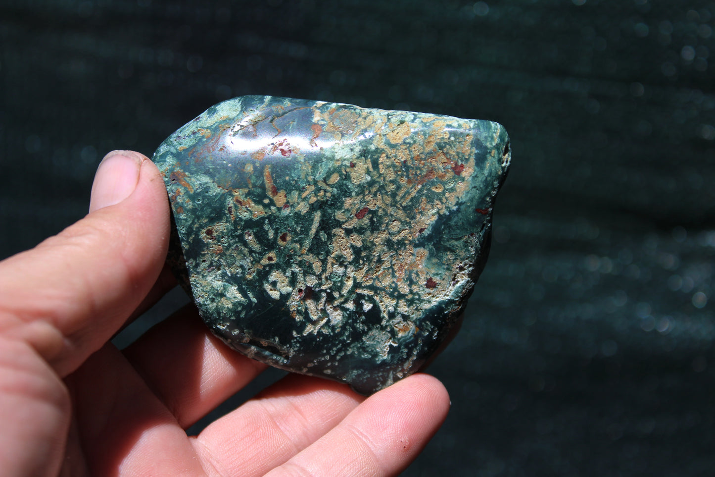 Petrified Wood Green Tumbled from Hampton Butte Oregon