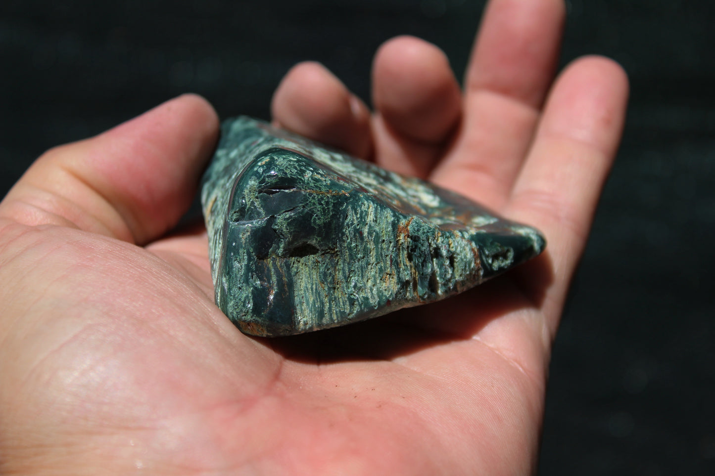 Petrified Wood Green Tumbled from Hampton Butte Oregon