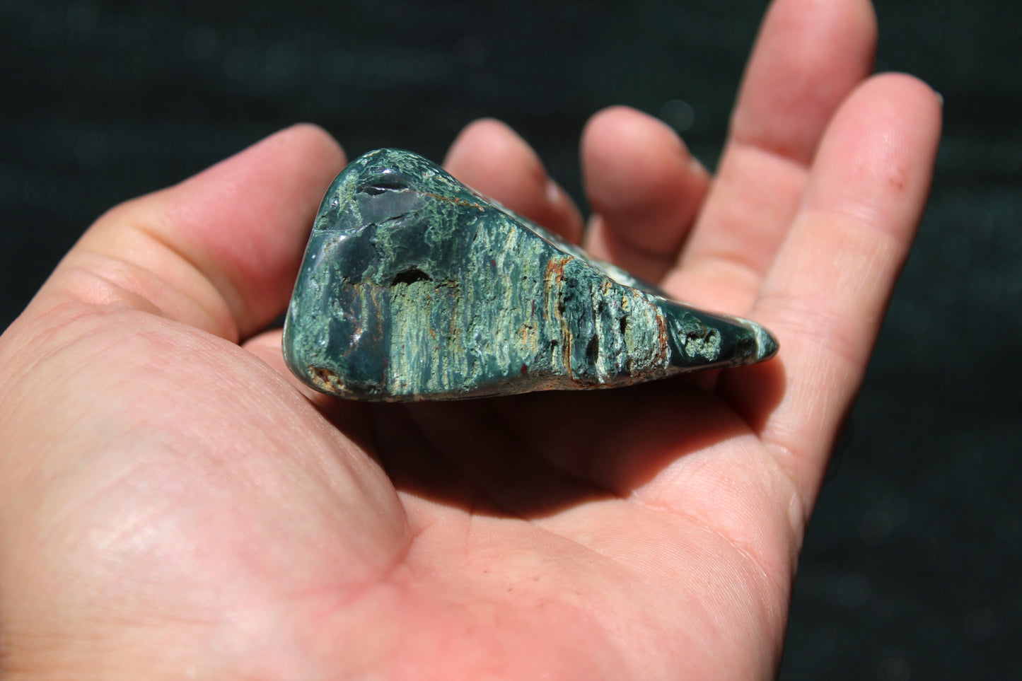 Petrified Wood Green Tumbled from Hampton Butte Oregon
