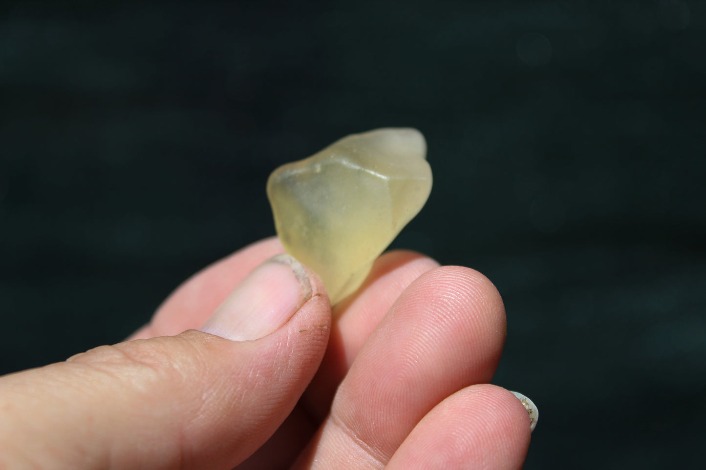 Libyan Desert Tektite