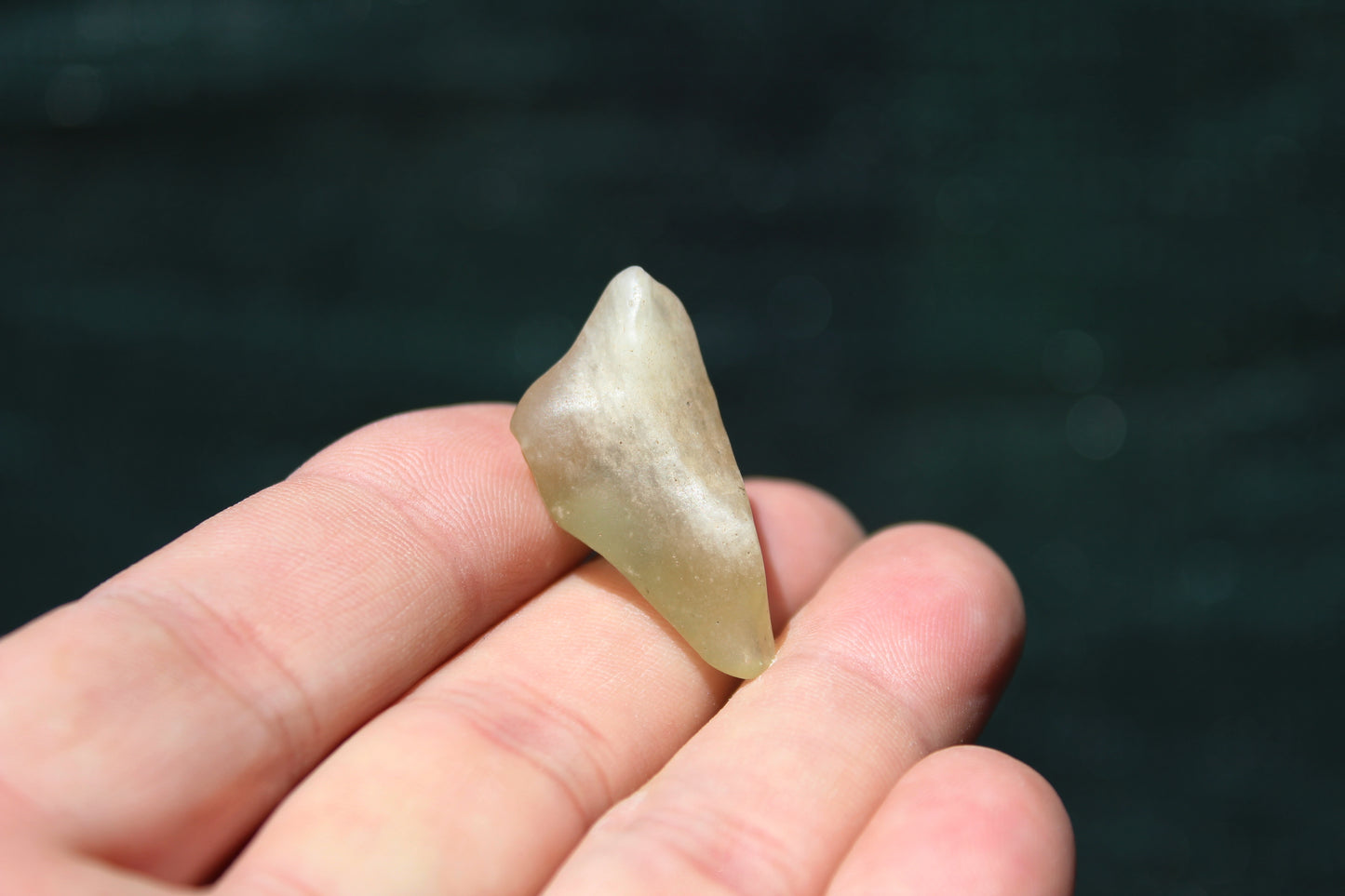 Libyan Desert Tektite