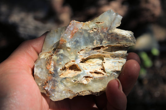Mount Shasta Opal